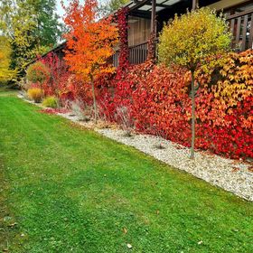 Resort Lesní Lázně Zvánovice