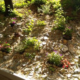 Gesztenyés Apartman Miskolc