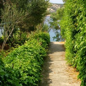 Apartmanok A Tenger Mellett Stara Novalja, Pag - 4099 Stara Novalja