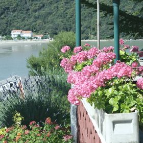 Apartmanok és Szobák Parkolóhellyel Kampor, Rab - 5064 Kampor