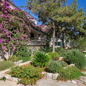 Apartmanok A Tenger Mellett Öböl Pokrivenik, Hvar - 5223 Pokrivenik