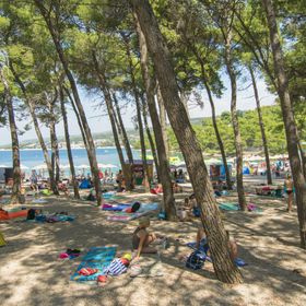 Apartment Palcic Primosten