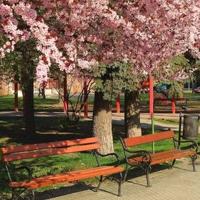 Csendespihenő Apartman Miskolc