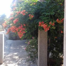 Apartmanok Parkolóhellyel Pirovac, Sibenik - 14637 Pirovac