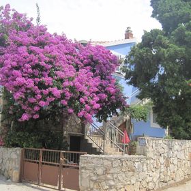 Apartmanok A Tenger Mellett Maslinica, Solta - 14748 Maslinica