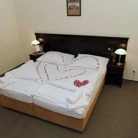 Hotel U Zeleného stromu Nepomuk