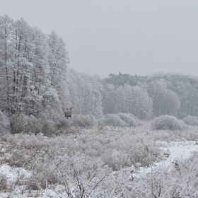 Agroturystyka Modrzewiowe Wzgórze Promno
