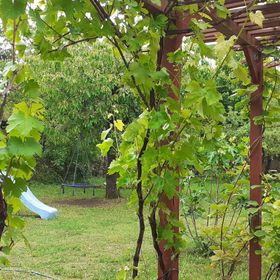 Arina Vendégház Balatonvilágos