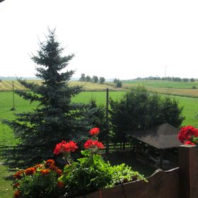 Apartament - pokoje u Elżbiety