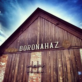 Az Őrségi Boronaház Porta Szalafő