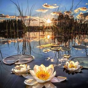 Kék-ház Apartman Dunapataj Szelidi-tó