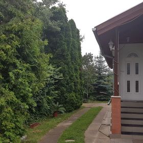 OázisVelence Apartman Velence