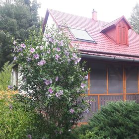 Tiszai Vándor Apartmanház Kisköre