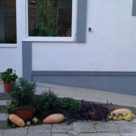 Őrangyal Apartmanház Baja