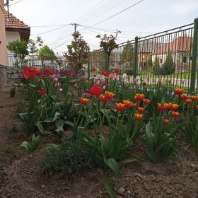 Sprencz Családi Major Sátoraljaújhely