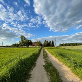 Siedlisko Żywe Kamienie