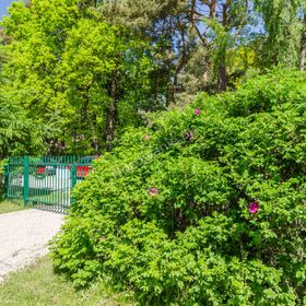 Domki Bliźniaki Dla Rodzin (Akceptujemy Niegroźne Pieski) 