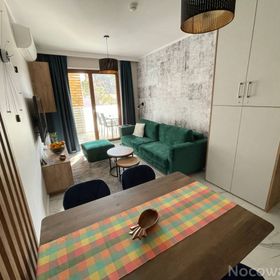 Lawenda Krynicka w kompleksie Nautikka Park