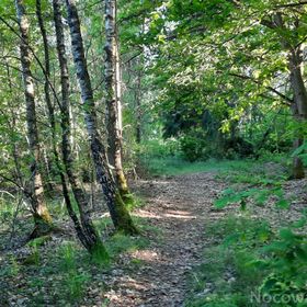 Domki nad Kukówkiem