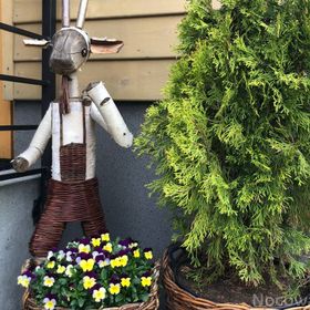 Apartamenty Chabrów 4