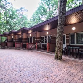 Domki Letniskowe Zeus