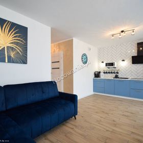 Apartament Navy Blue