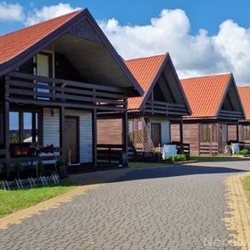 Uśmiechnięty Kaktus