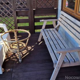 Uśmiechnięty Kaktus