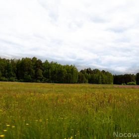 Siedlisko Sołtysówka 