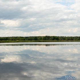 Siedlisko Sołtysówka 