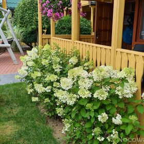 Ewa Domki Letniskowe