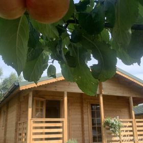 Pod Dziką Jabłonią