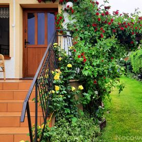 Dom gościnny - Roksana