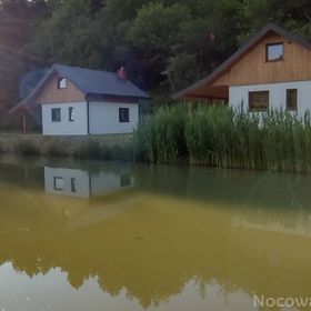 Domki wypoczynkowe Oaza w Bieszczadach z łowiskiem 