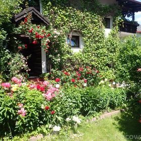 Pokoje Gościnne w Centrum