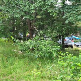 Imprezownia /Wiata /szałas w lesie, ewentualnie z polem campingowym/namiotowym