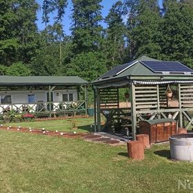 Domek pod lasem u Alicji