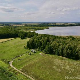 Domek pod lasem u Alicji