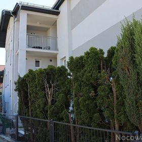 Kwatery prywatne 800m od plaży