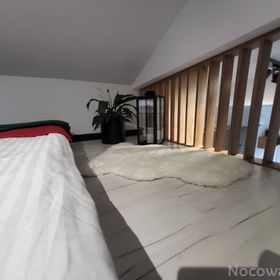 BLACK & WHITE HOUSES