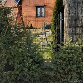 Domek letniskowy Ada 