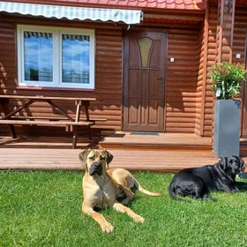 Domki wczasowe HOLIDAY