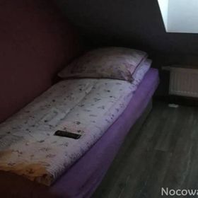 Mieszkania i Pokoje do wynajęcia