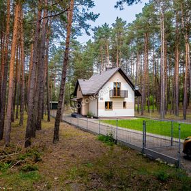 Domek pod Sosnami Całoroczny z Balią Ogrodową