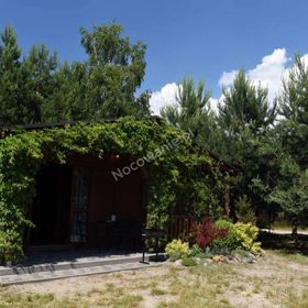 Domki Letniskowe Pod Brzozami