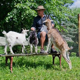 Gospodarstwo Agroturystyczne MARKA