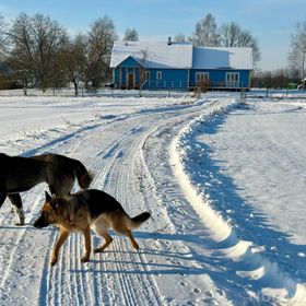 Wiejskie podwórze Ekologiczne gospodarstwo agroturystyczne