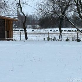 Wiejskie podwórze Ekologiczne gospodarstwo agroturystyczne