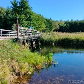 Domek w Strzelcowiźnie