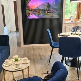 Apartament Mountains Góry Sowie